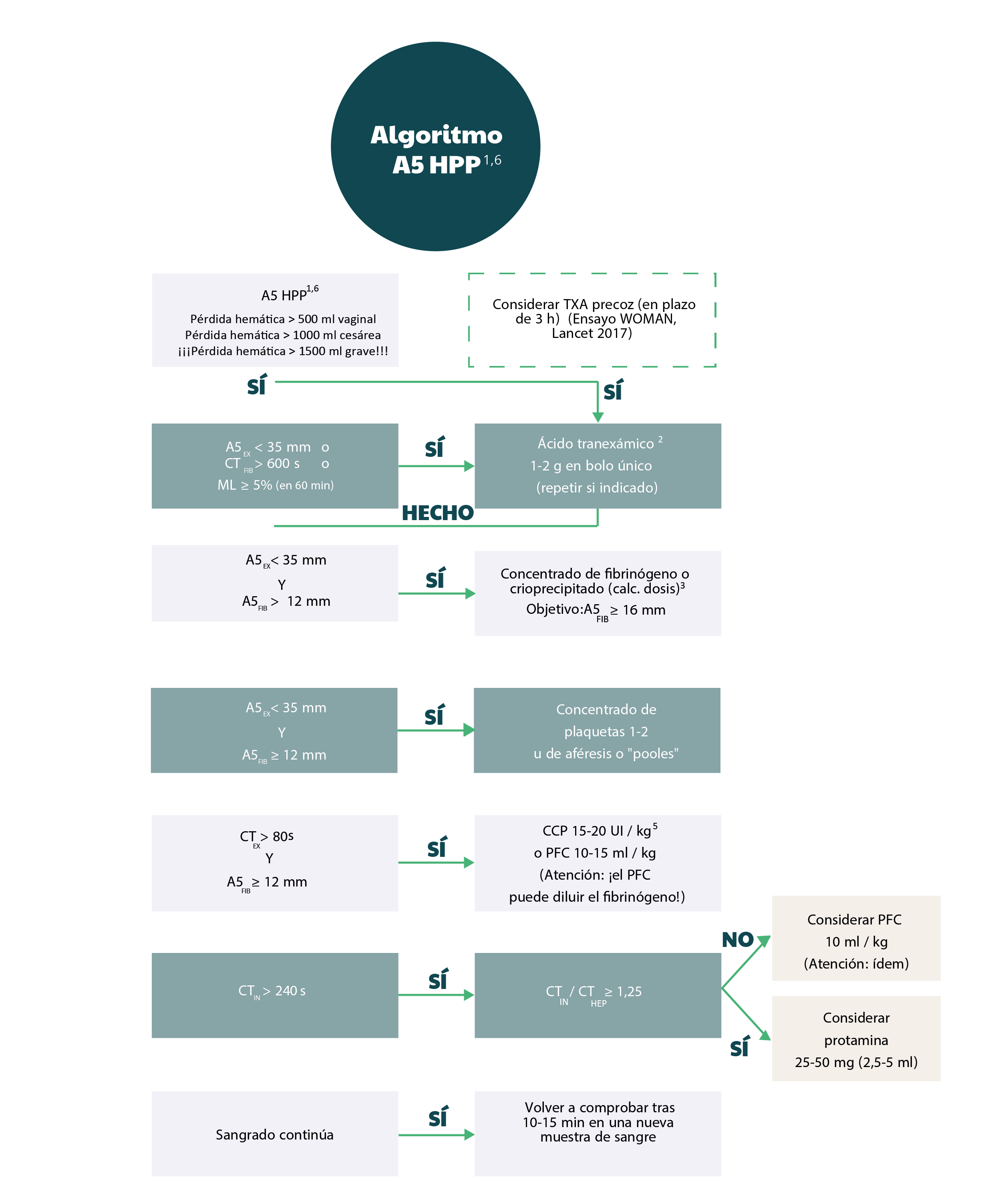 Algoritmo A5 Hpp